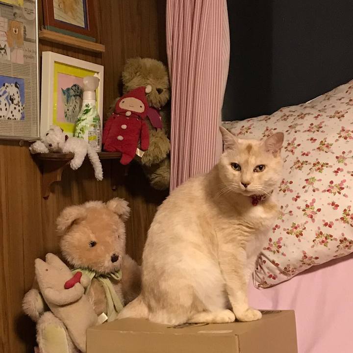 33098041 cf3f 4a16 9051 e7b842588df3 1562326110630