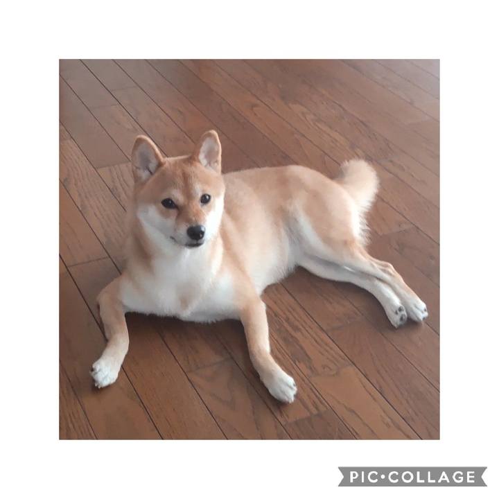 3309ba67 cc05 4594 a54c 41e169321023 1663631034852