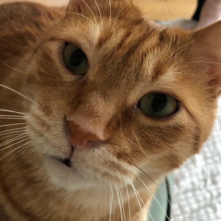 3309eb8f c2e5 481f b976 56838770c06f 1648850216391