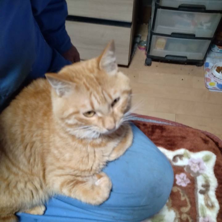 330a1b2d 5953 45a5 b4e8 40616fa291e8 1665732602902