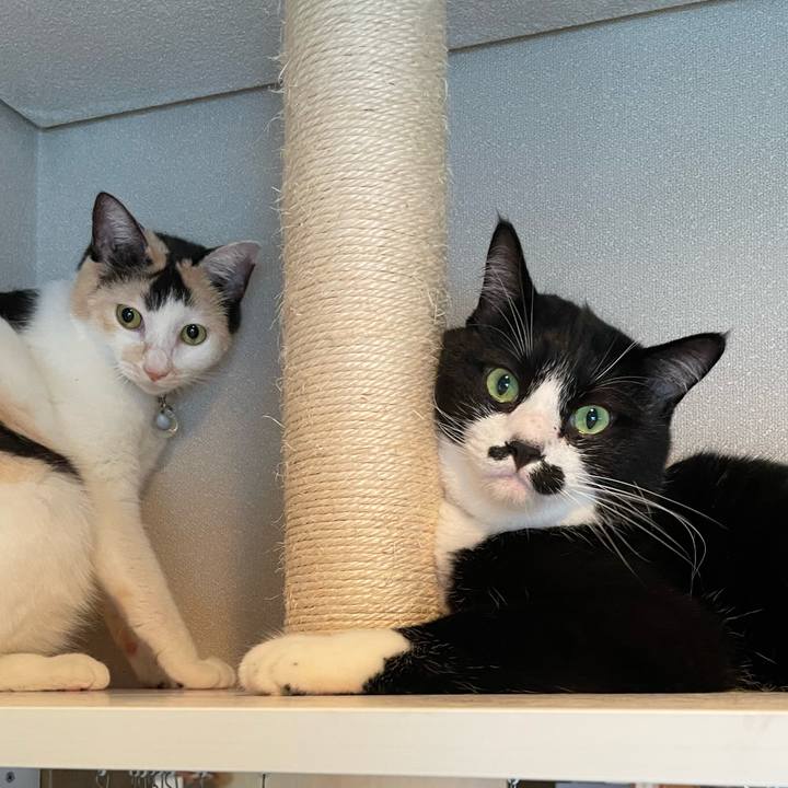 330a2dd7 a24f 4b70 a3b6 6195b9b720c2 1694386685858