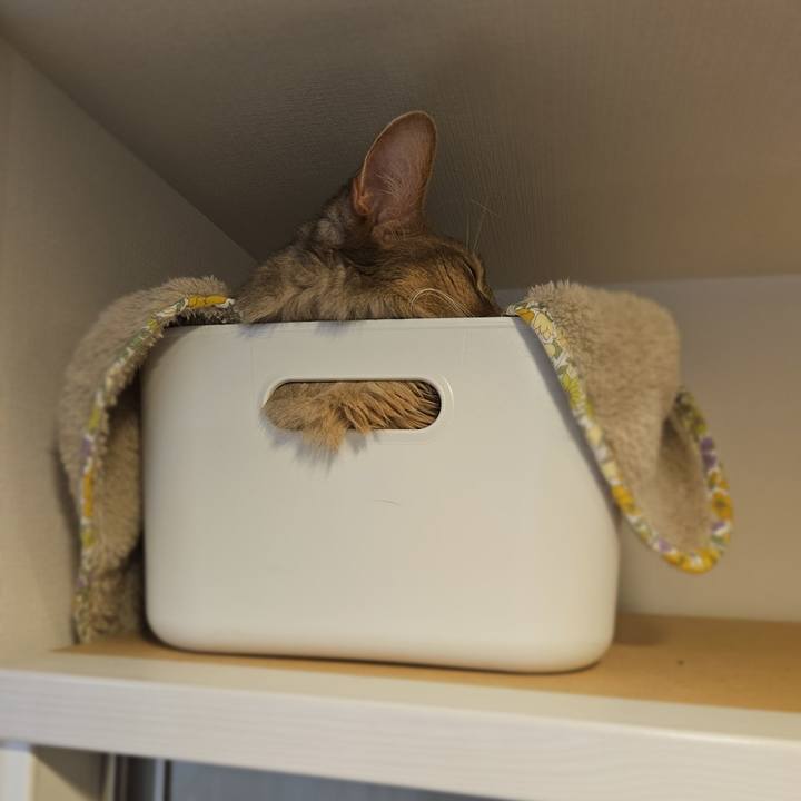 330a34e8 0c26 4bda a736 fa0d5c92831d 1766738142140