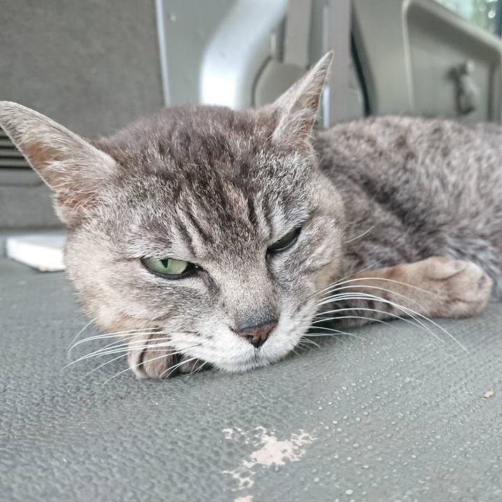 330a5785 0c8a 4fa3 9db8 495606c864d2 1591608371164