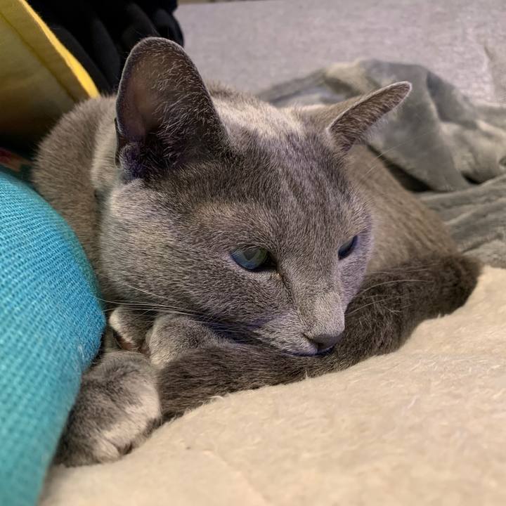 330a61da 3ac4 4f1b aafe 469a21aeb8b6 1674483852610