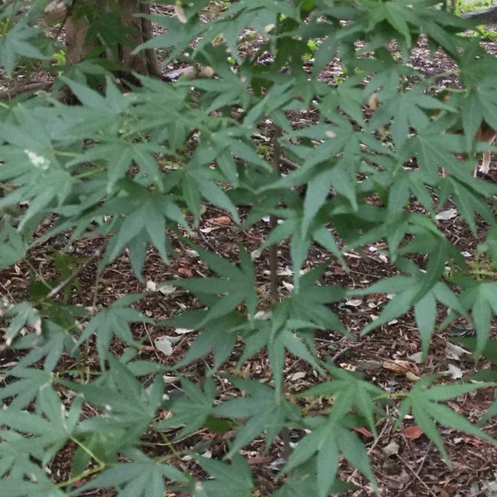 330aa8a5 34b3 4718 963c a417b04f09e1 1568251411237