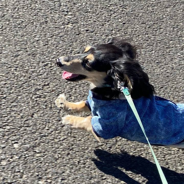 330ad79a efa3 4ece 8c93 a868408361f3 1734929191485