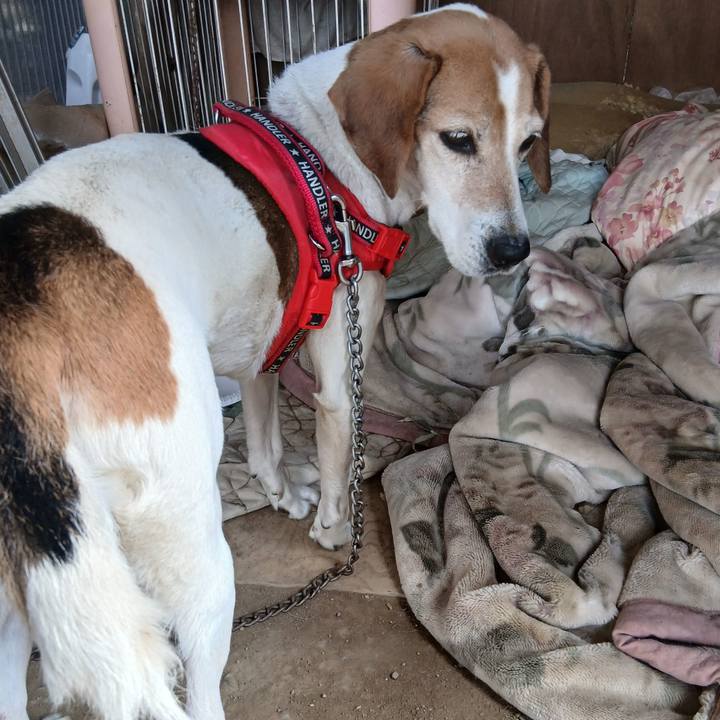 330aef3e c39a 43e9 98df 93ed9cd1470a 1773983591425