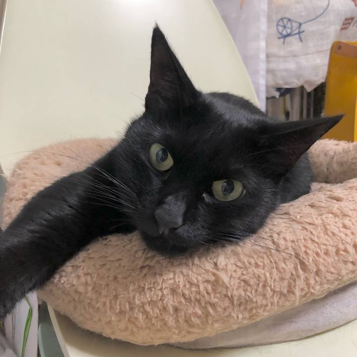 330af4b9 c142 4d8c 8ee4 04fdf253658e 1635851696619