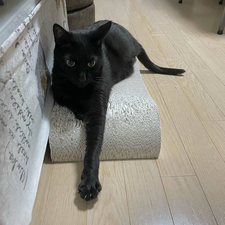 330b1383 d3d6 42b9 a715 f6dfbef755fd 1686568183657