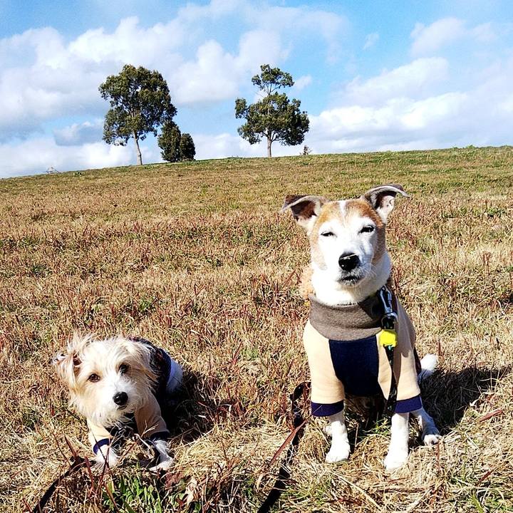 330b2622 33e0 4dd3 a2a3 7fd6db511d88 1581923167084