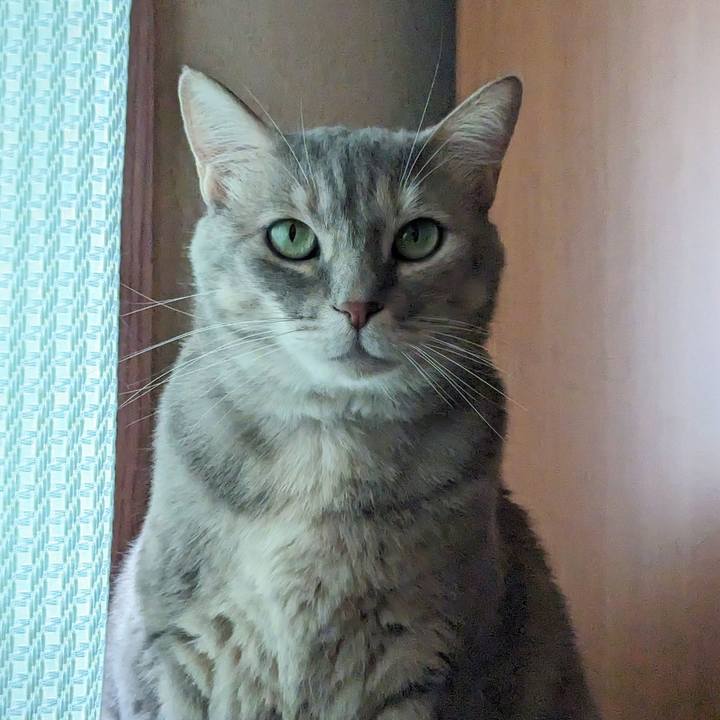 330b5991 b6f0 46d1 bacd 440ee3cc989c 1712401738658