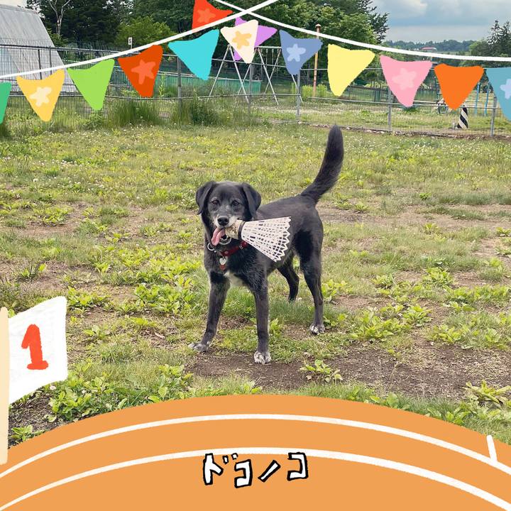 330bfa45 2eb5 49bf 9813 c3c85a44f783 1761125995560