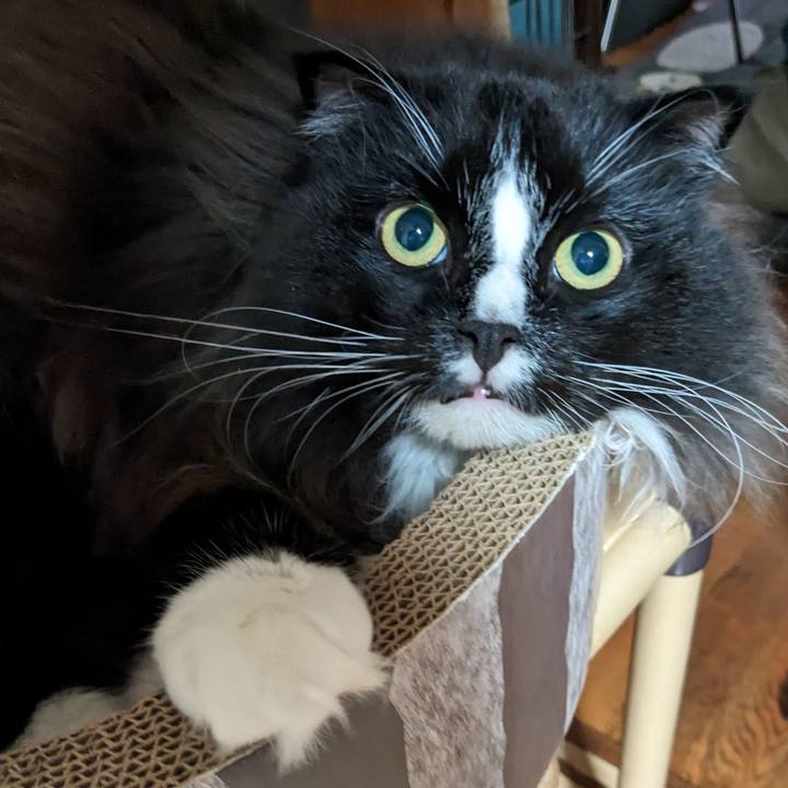 330c0596 1b0b 4fc4 8faa 4464e21b0bf7 1695078348349