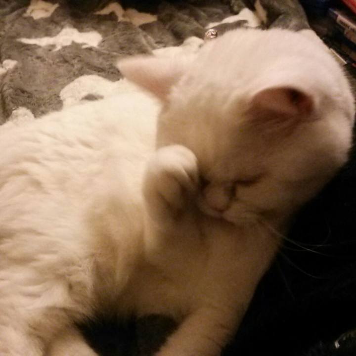 330c39f0 5f8c 4822 85a9 bbf431997f8a 1514892466835