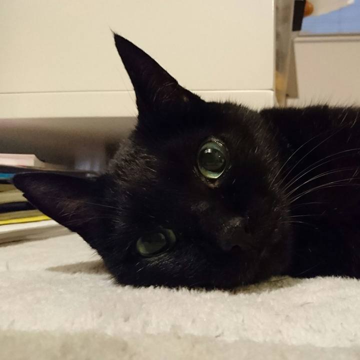 330c4359 7241 4893 ac83 c4df8de5af2c 1509312778441