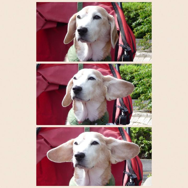 330c44e1 401b 4e97 b5fe 9df024901f21 1702169279985