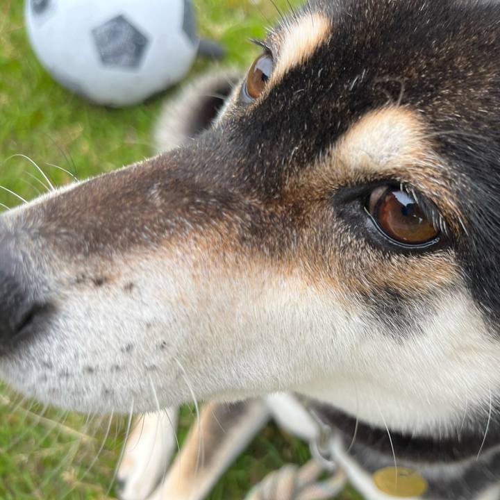 330ce813 373f 4d56 aa23 b63a5ef4c75a 1653194908961