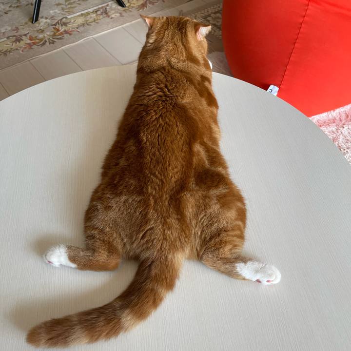 330cf0f0 dc12 49f9 9da7 e279f0acbc0f 1662861007936