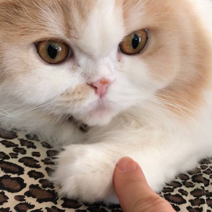 330d34bf 21de 40ac 96f7 8e2e388366bb 1553999766452