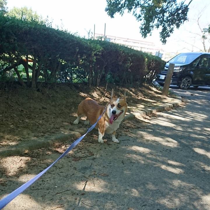 330d3523 8640 4f7f bd8f 917d52f52020 1600671132824