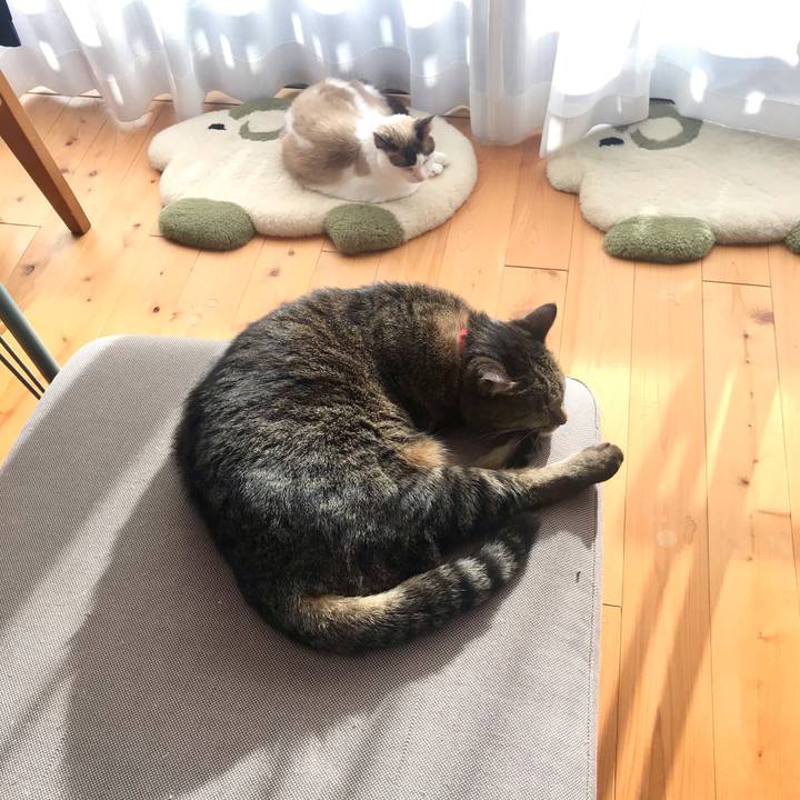 330d3a83 3d3b 451a b5ed a4cc00aa2765 1609391519783