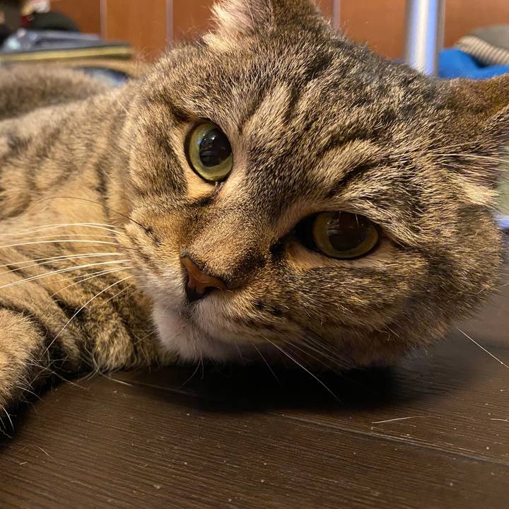 330d3bbc 346c 4c8d 8491 fa17b309ab5e 1666447602691