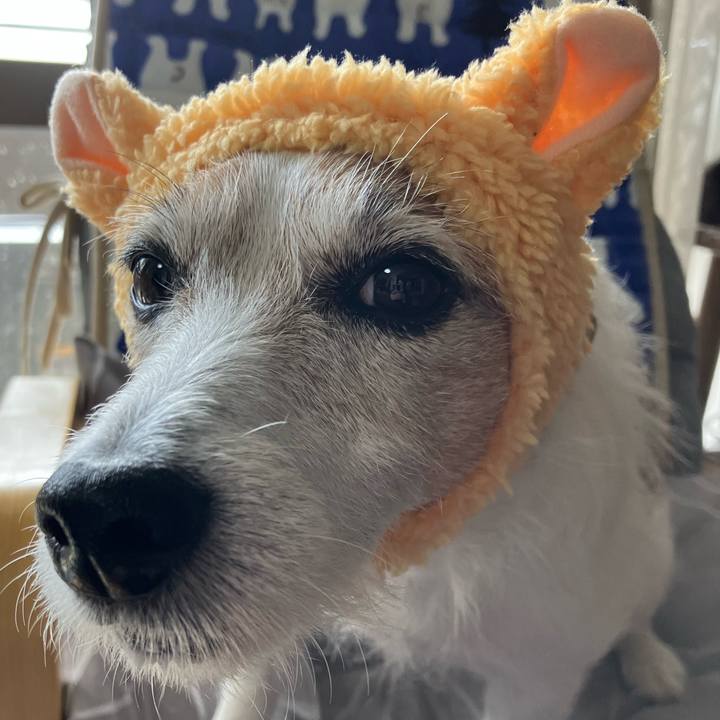 330d3cb2 e4d4 432f a9a4 518929939b53 1667257562594