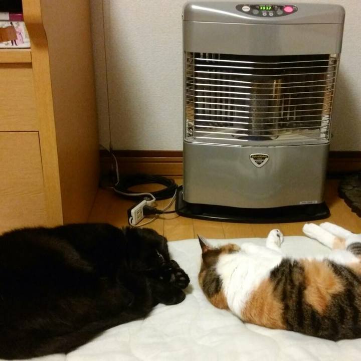 330d473b aafe 4c3b ae9c ab5cd4924548 1525645306190