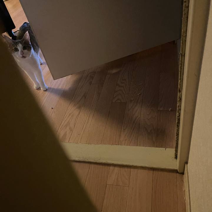 330d519e bf3a 4ca0 9aa0 879c039188c4 1631075253612