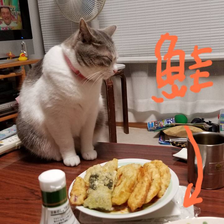 330d60ec 0639 4a11 b0cb 17e93aaad191 1571967619328