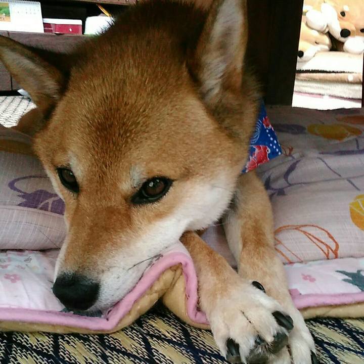 330d6754 3066 40df 8c87 82e4fbb122cb 1535598833826