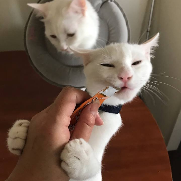 330da461 1d9c 4d26 9c4a 2d09dae1c032 1570363571375