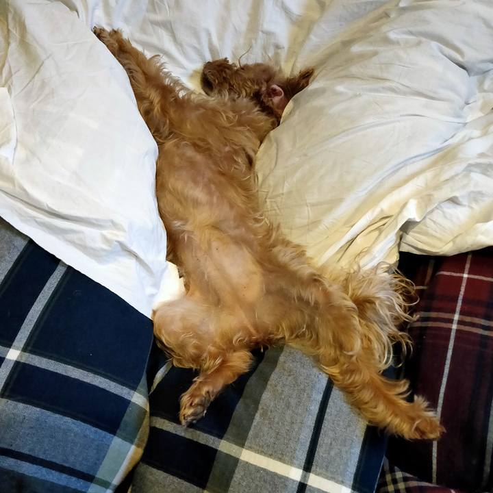 330dc1b8 eaed 4bf2 9737 dd7666476662 1579615096899