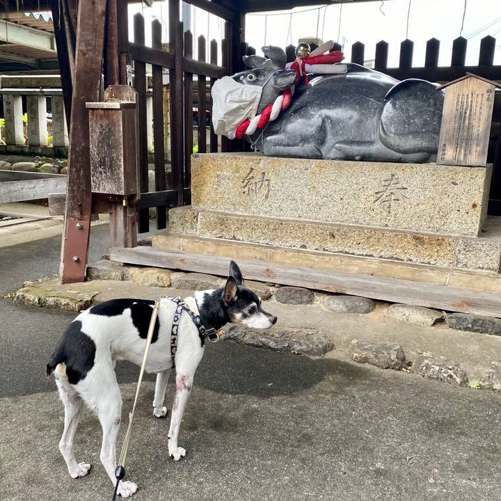 330df54b acc6 49d4 b19d ce6860777bfb 1628761728132