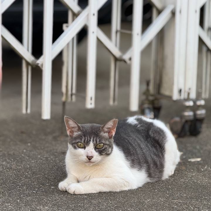 330e1d9f c774 4a77 a2cf e243bc7a9d83 1757298839683