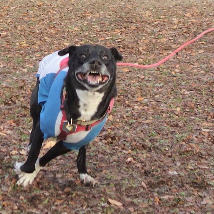 330e250e cabf 44ca 9b95 78213555f062 1702866255674