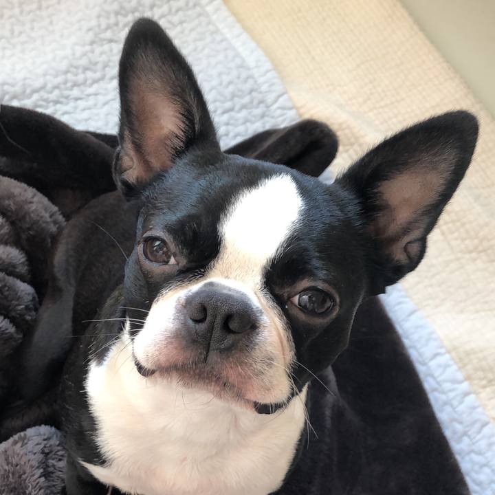 330e370f c62b 4141 93ed 2101f9985994 1543027244293