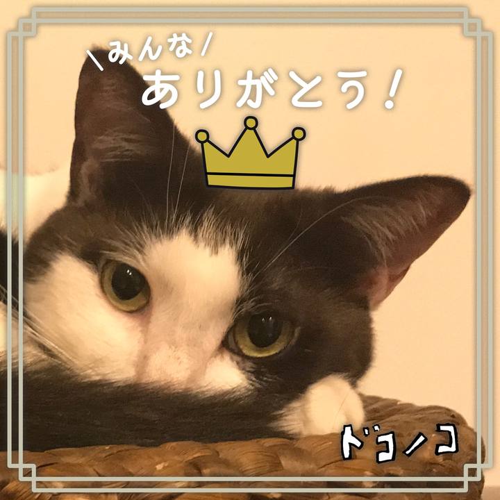 330e3b30 58ae 4a66 b944 119ddaba7a86 1623323745775