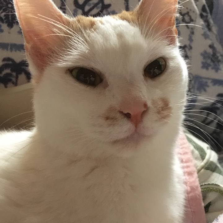 330e5442 4bcc 4879 b3ea c0c15f3350b9 1524755218374