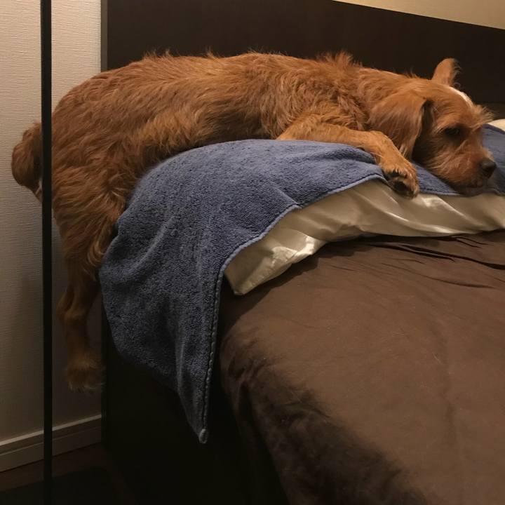 330e6904 14f2 4871 b540 6c040b593a80 1535119958262