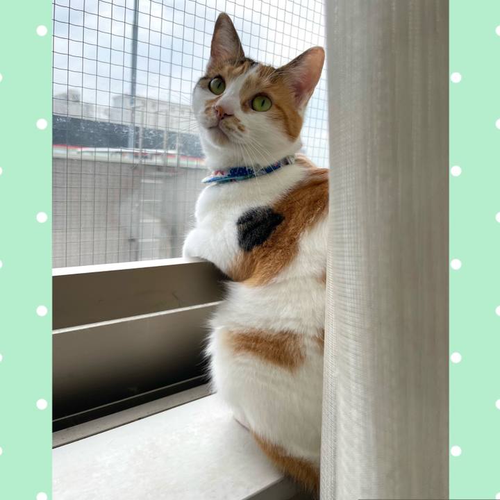 330e7a43 c859 4bac a609 62404a1cd353 1695166374722