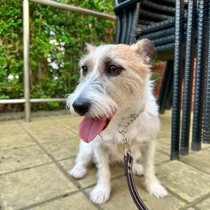 330ed602 427d 4719 9cac 58e501fcb026 1728919625586