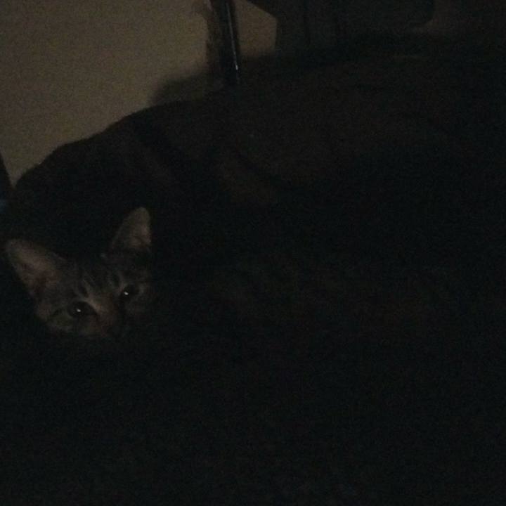 330f7e33 afd5 4c41 a101 beb80ede6289 1674256325760