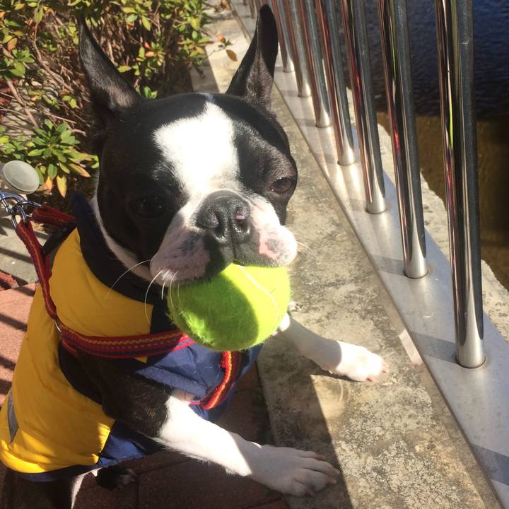 330f9699 ce5a 424d a298 53f6f6755ac0 1513563179121