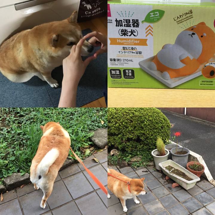 330fa2cd f4d1 43a9 8856 4f23948af89a 1601526415723