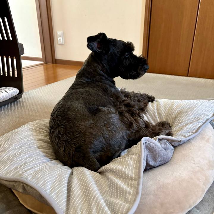 330faa4d 2c01 4914 a3d6 90082cd67f31 1746615213036