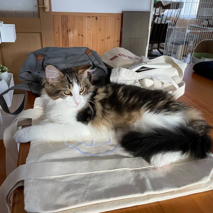 330fb372 8de2 4e1b 8888 408b41cfc9bd 1634908235498