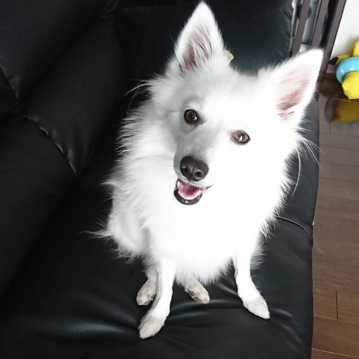 330ff03f cc5d 489e bab1 c9f2e1f9e6aa 1540181368761