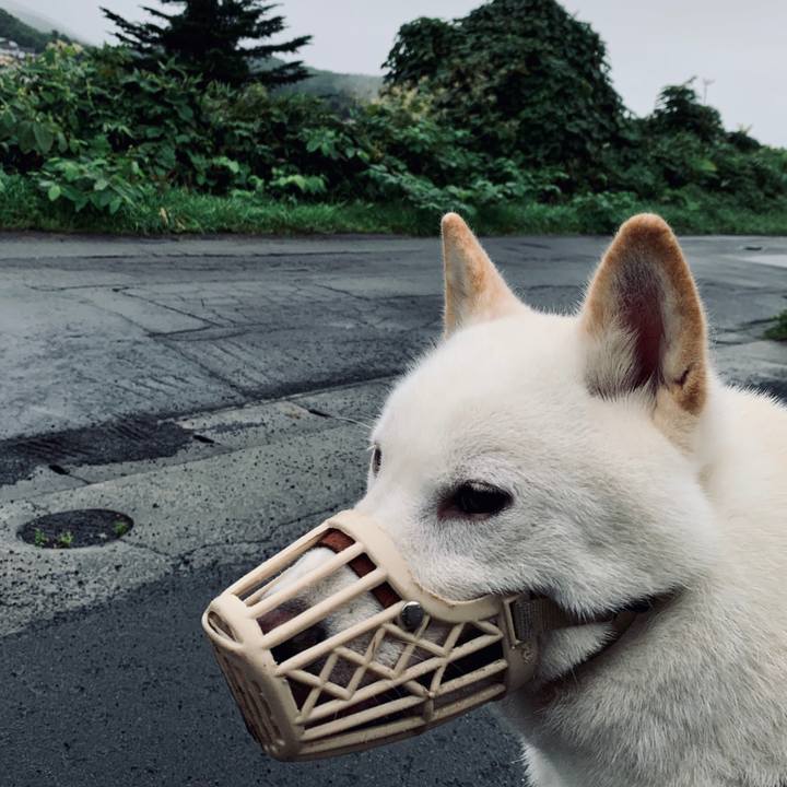 331011eb 0bd7 440b b447 b27f93ff1bc5 1567030011261