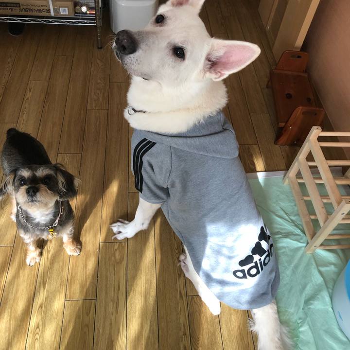 33104e15 b962 4457 9d5f a2ff4d53556a 1578019544274